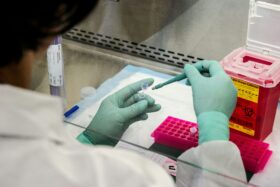 Concurs pentru ocuparea a 17 posturi (proiect GENETICA ECHITABILA, 22 aprilie 2026): Rezultatele probei de interviu